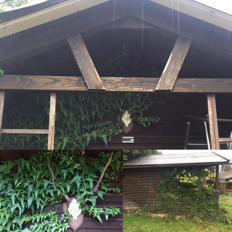 Ferienhaus Braunfels Villa Kültér fotó